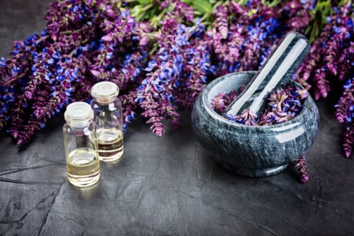 sage plant and essential oils