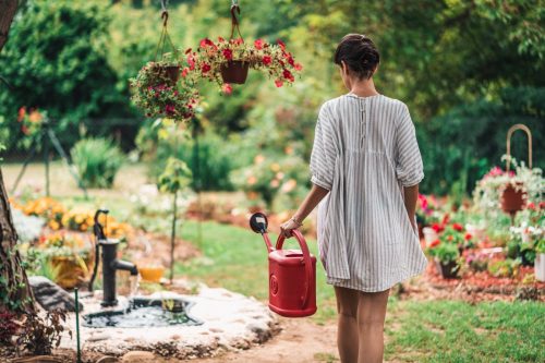 Beautiful young female in garden taking care of plants and flowers. Pretty girl taking care of garden. Watering flowers from watering can in summer time