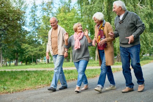 Smiling senior friends wearing knitted sweaters and cardigans walking along park alley and chatting animatedly with each other, picturesque view on background