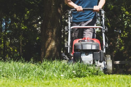 Cutting lawn at sunny day.