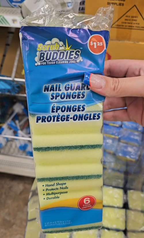 sponges at Dollar Tree