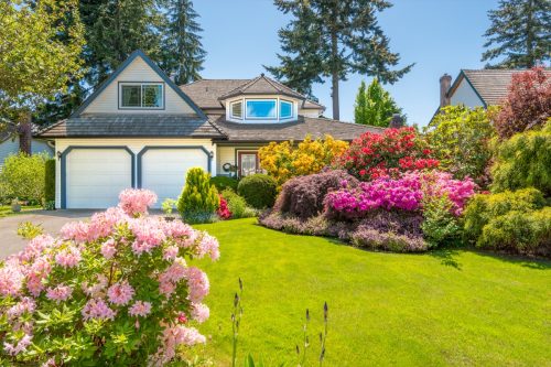 Flowers in front of the house, front yard. Landscape design.