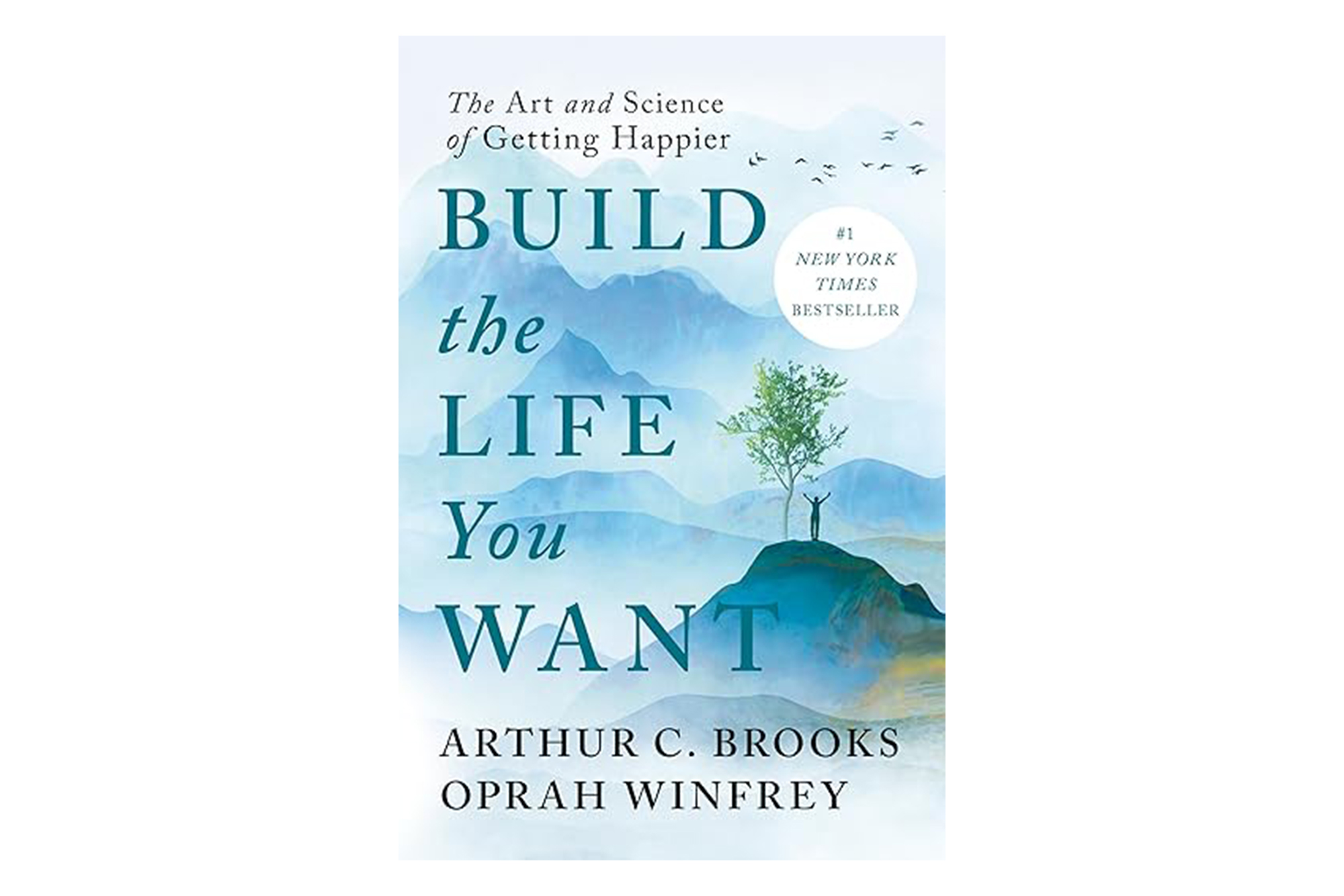 "Build the Life You Want" book