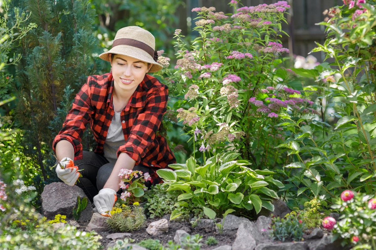 người phụ nữ đang chăm sóc cây trong vườn