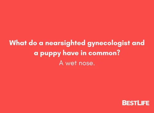 What do a nearsighted gynecologist and a puppy have in common? A wet nose.