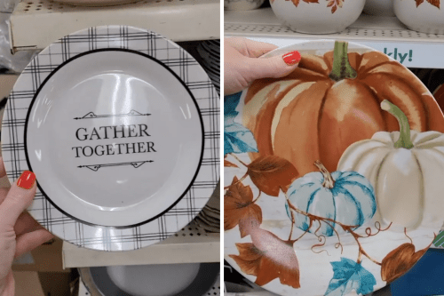 fall dishes at Dollar Tree