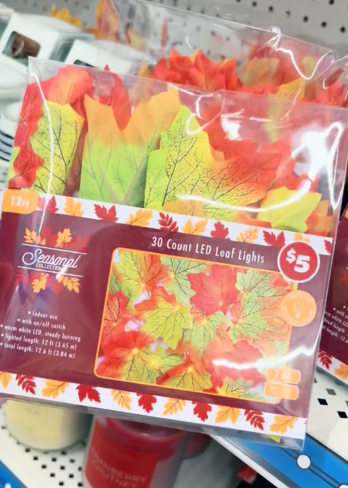 LED leaf lights at Dollar Tree