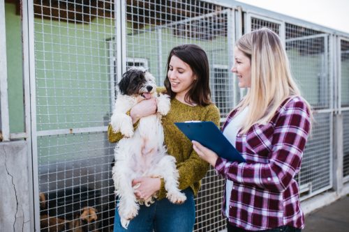 woman holding dog at shelter