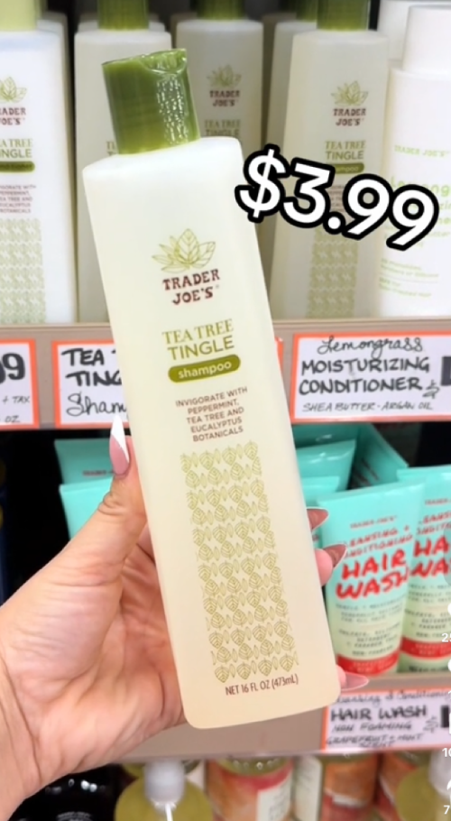 dầu gội tràm trà của trader joe