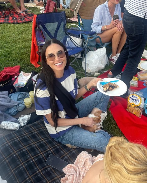 SỨC MẠNH CỦA MOORE PICNIC: Với chiếc bánh trên một tay và món Pilaf cho chó con trên tay kia, Demi Moore đã sẵn sàng thành công tại Lễ hội âm nhạc Sun Valley ở Idaho.