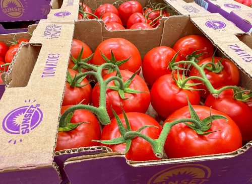 Ripe red Sunset brand Tomatoes in open boxes, on display in a Costco store.