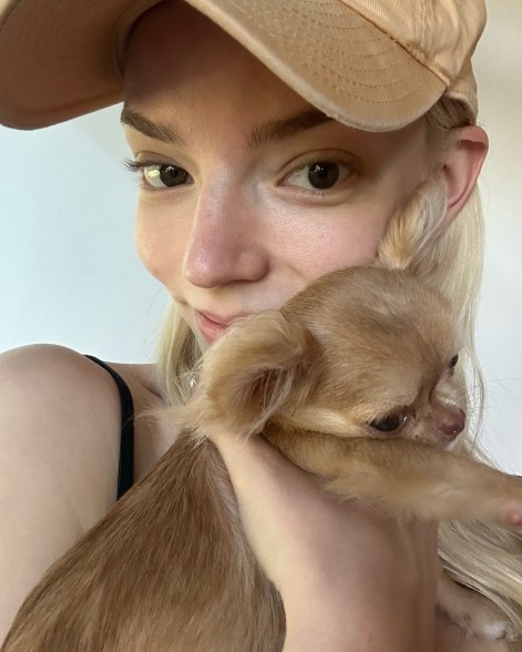 POOCH & SMOOCH: Nữ diễn viên Anya Taylor-Joy giới thiệu chú chó mới Bartok với thế giới.