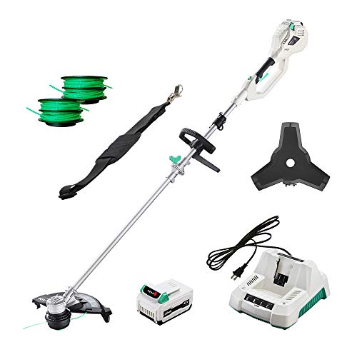 LiTHELi 40V Cordless Grass Trimmer 14 inches 2 in 1 with 2.5AH Battery and Charger