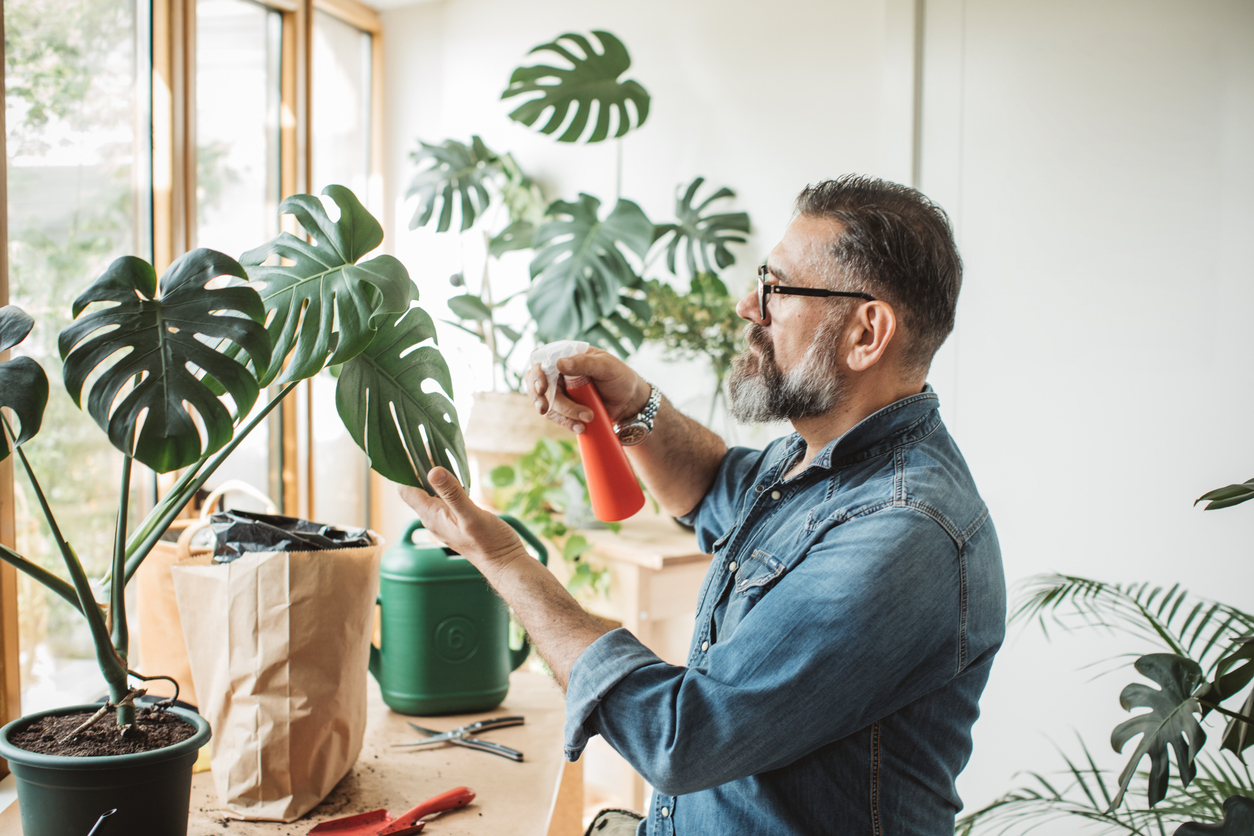 13 Houseplant Care Tips That Gardeners Swear By — Best Life