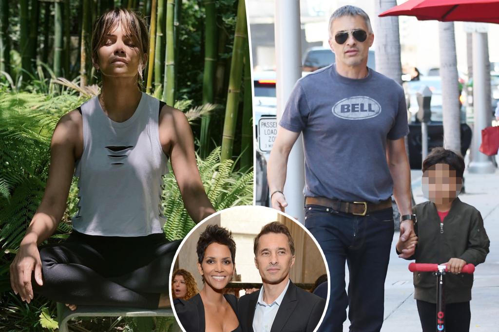 Halle Berry tuyên bố người yêu cũ Olivier Martinez đang cố gắng ‘trì hoãn’ liệu pháp đồng nuôi con