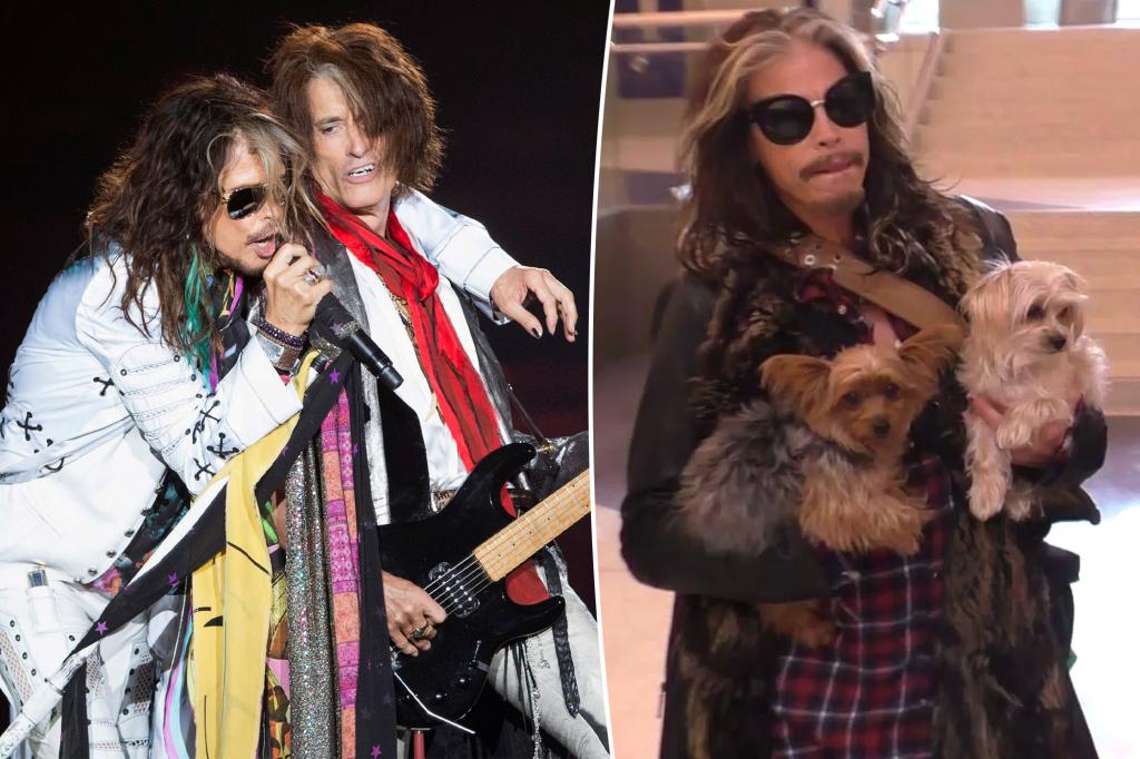 Aerosmith ngừng lưu diễn vì chấn thương thanh quản của Steven Tyler