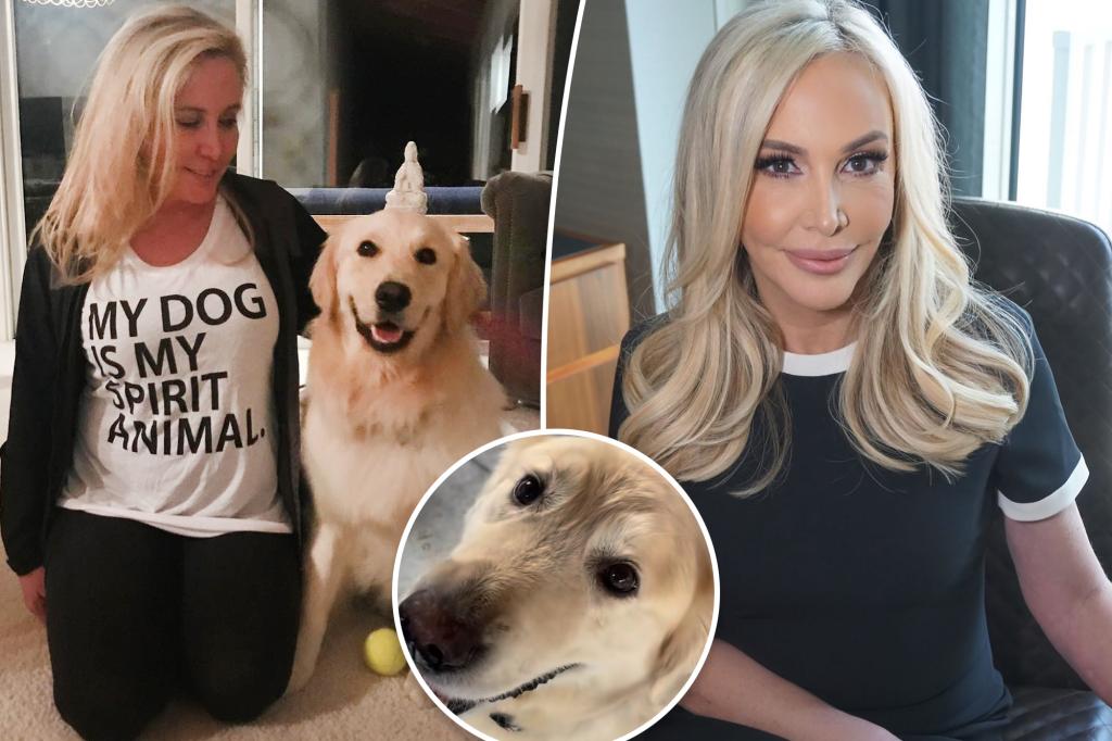 Chú chó Archie của Shannon Beador vẫn chưa chết mặc dù có bình luận ‘thiên đường’