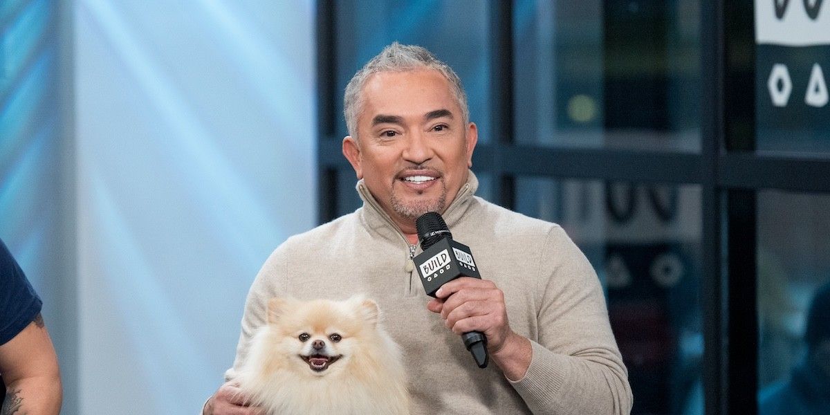 Cách Ngăn Chó Sủa Theo Cesar Millan — Best Life