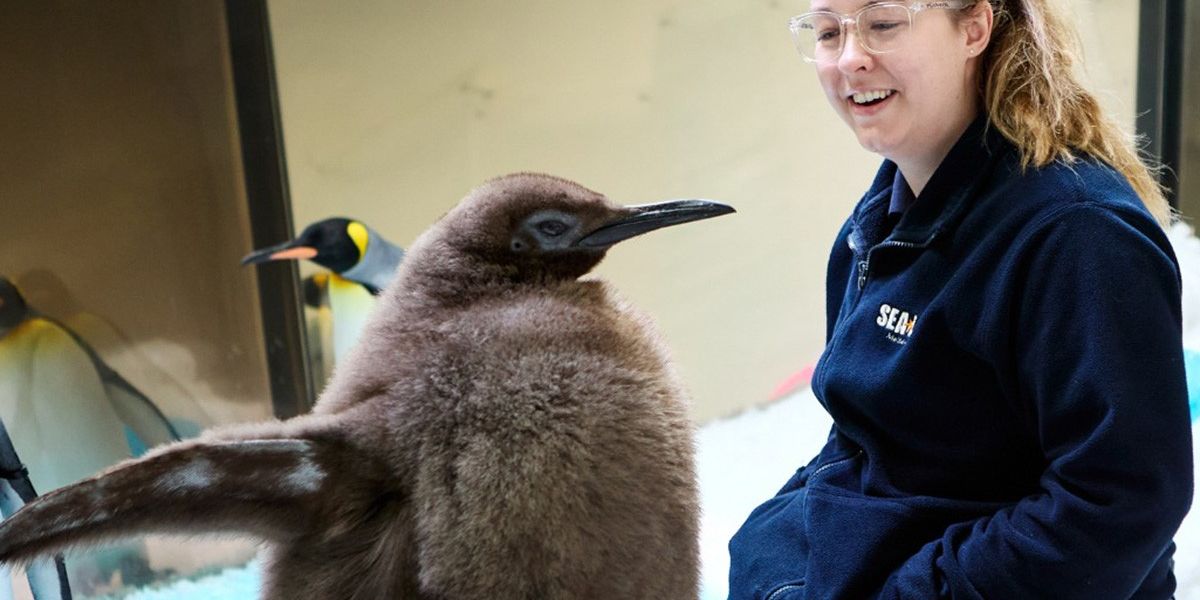 Gặp gỡ em bé lớn nhất tại Sea Life Melbourne — Best Life